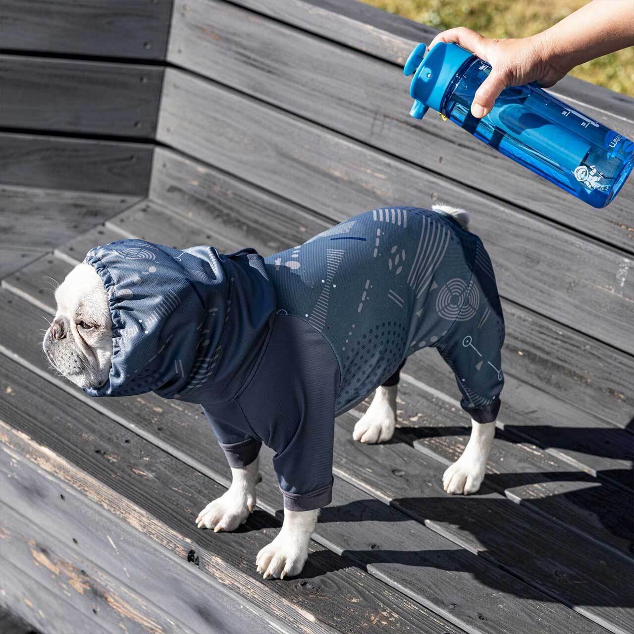 ALPHAICON [アルファアイコン] DOG GUARD COOL [24DGC] ドッグガード